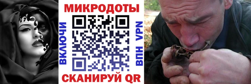 Галлюциногенные грибы Psilocybine cubensis  купить закладку  Партизанск 